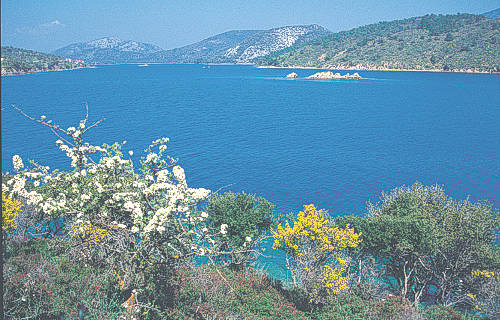 The untouched natural beauties of Lesvos island.